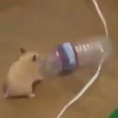 360x360