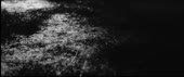 856x360