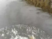 480x360