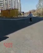 360x446