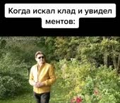 540x466