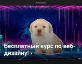1080x845