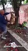 360x640