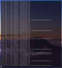 962x1051