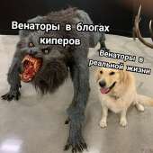 960x960