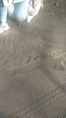 360x640
