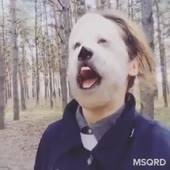 360x360