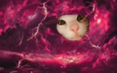 320x202