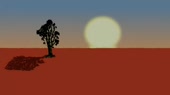 640x360