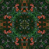 480x480