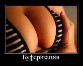600x483