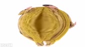 1280x720