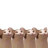 640x640