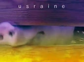 480x360