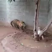360x360