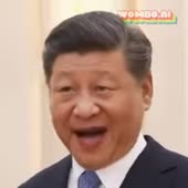 256x256