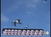 490x360