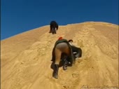 480x360