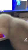 540x960