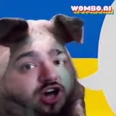 256x256