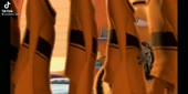 1152x576