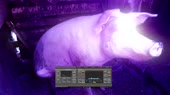 640x360