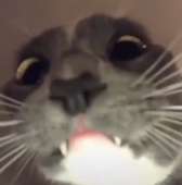 1072x1080