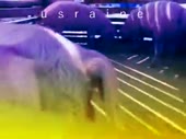 480x360