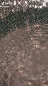 540x960