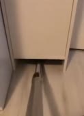 362x500