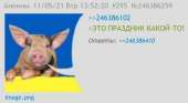 899x492