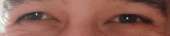 2059x440