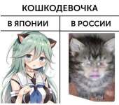 604x536