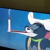 360x360