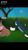 320x568