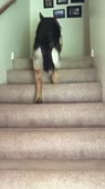 406x720