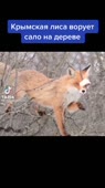 540x960