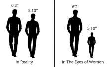 650x400