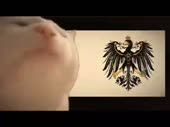 460x344