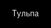 1280x720