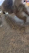 406x720