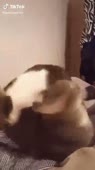 360x640