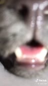 540x960