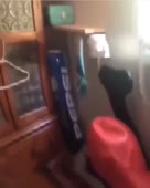360x450