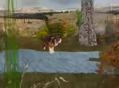 480x360