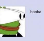 426x402