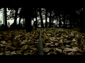 480x360