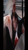 640x1136