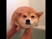 480x360