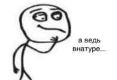 643x446